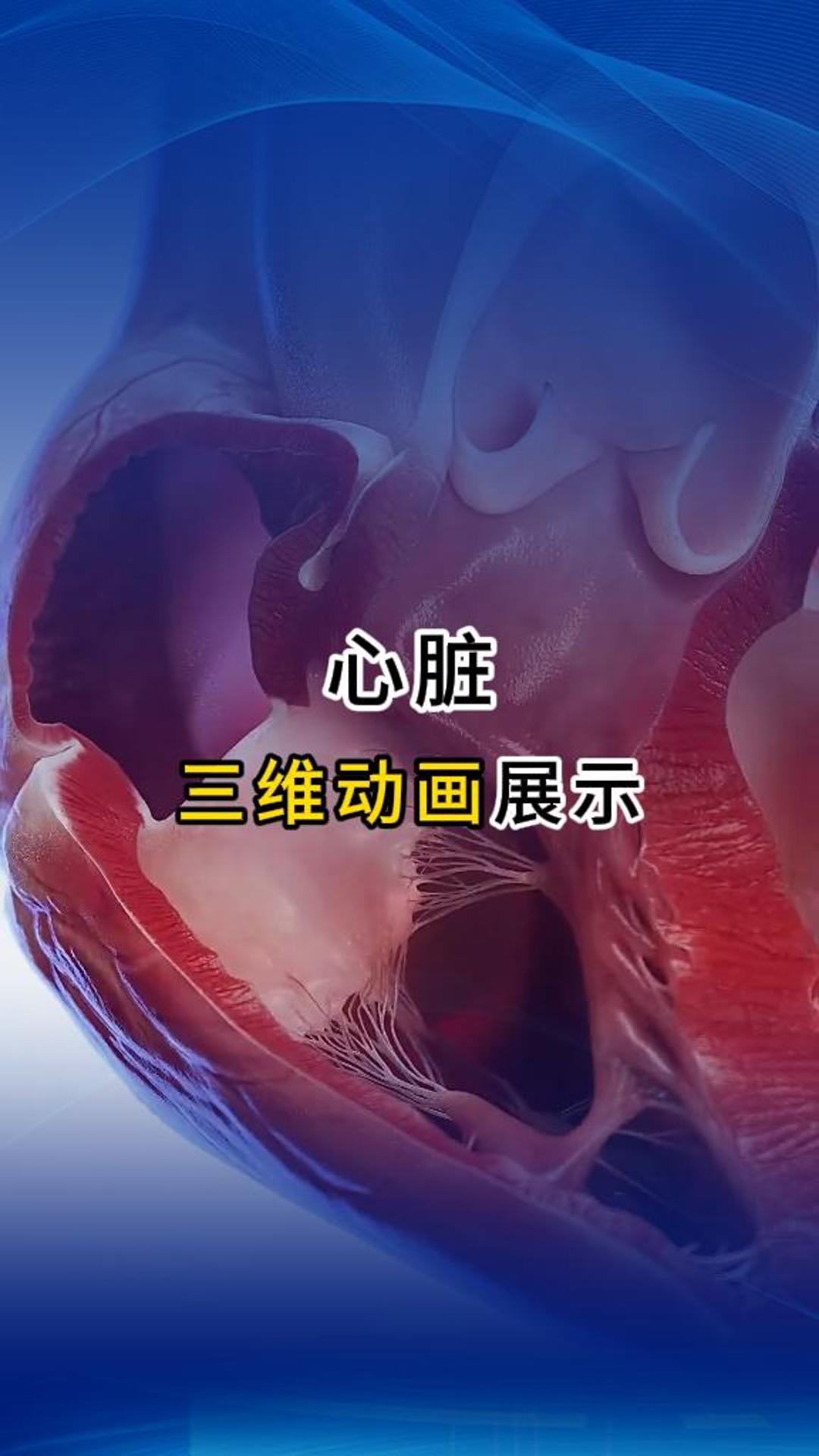 來自心臟的告白！醫療三維動畫-三維動畫制作公司-華匠科技