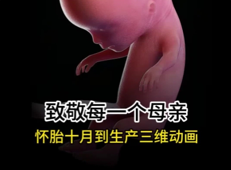 女子本弱，為母則剛，致敬偉大的母親們！華匠科技-孕期三維動(dòng)畫(huà)定制